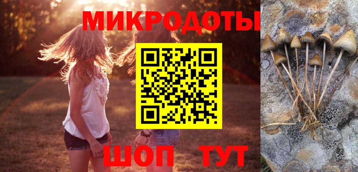 дарнет шоп  Псилоцибиновые грибы GOLDEN TEACHER  Вход с VPN  Галлюциногенные грибы MAGIC MUSHROOMS  Кропоткин 