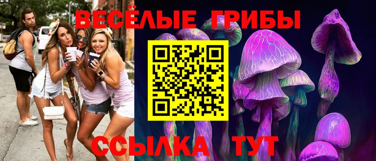 Псилоцибиновые грибы Cubensis Кропоткин