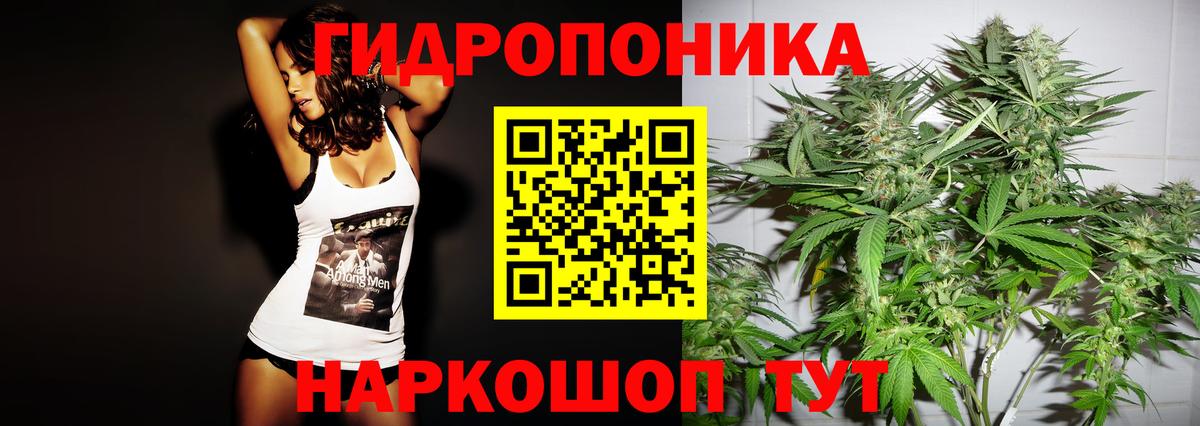 Конопля Amnesia Кропоткин
